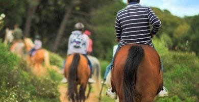 Paseo a caballo Montserrat